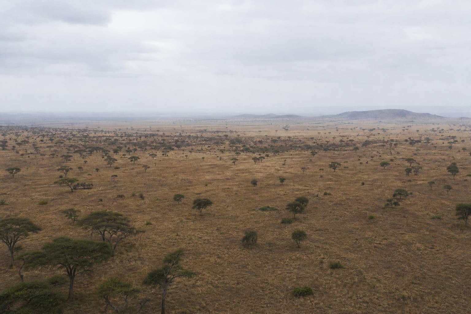 African landscape